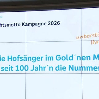 Das neue Fasnachtsmotto der Mainzer für 2026